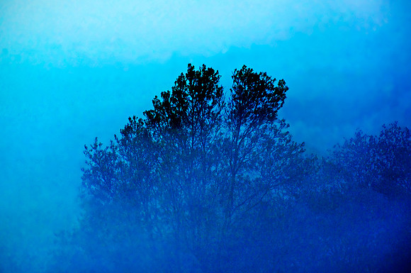 Fogged Out
