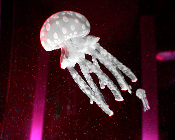Alien Jellies
