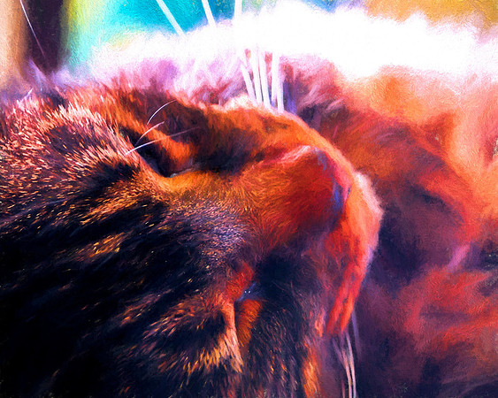 Cat Life