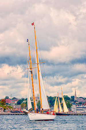 Under Cloudy Skies