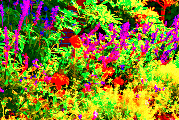 Floral Design 3