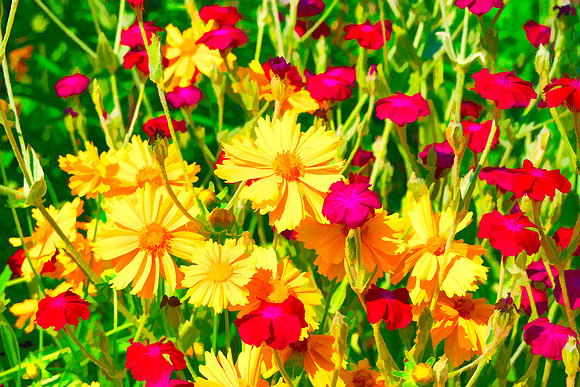 Floral Design 8