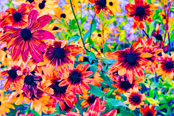 Floral design 1