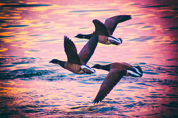 Take Off v2