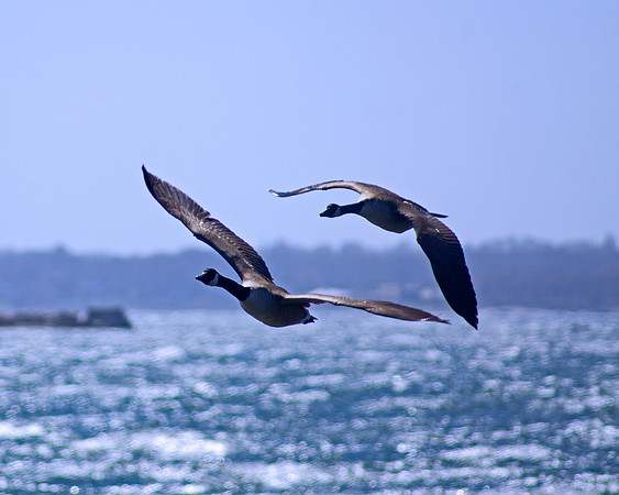 Into The Wind