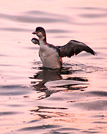 Reach