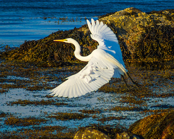 Taking Flight