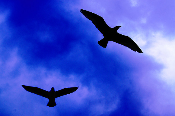 Updraft