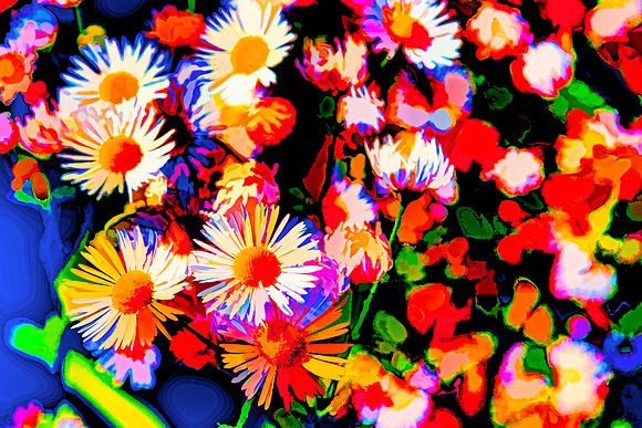 Daisy Daze