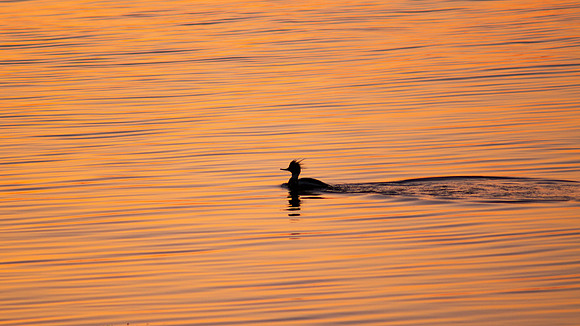 On Painted Waters