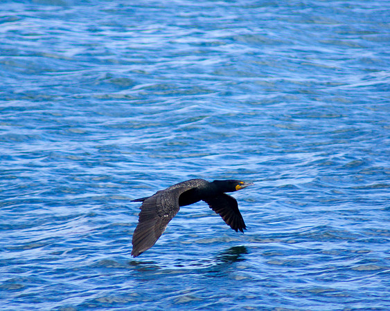 Skimming The Surface