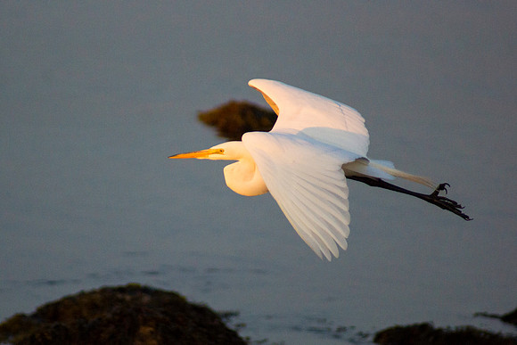 First To Flight