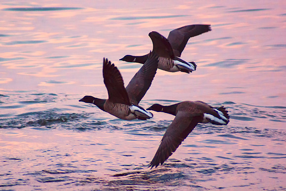 Take Off