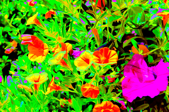 Floral Design 4