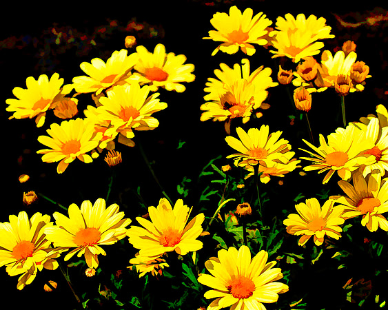 Floral Design 7