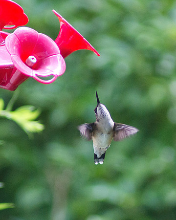 Graceful Approach