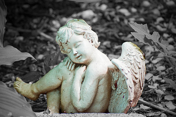 Seraph Slumber