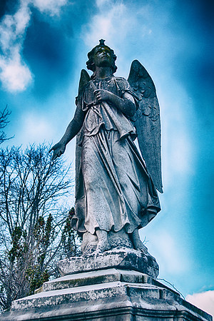 Heralded