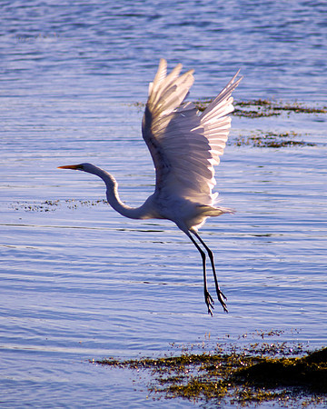Lift Off