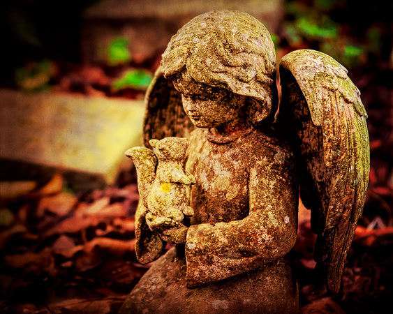 Garden Grace