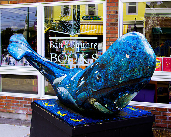 Welcoming Whale