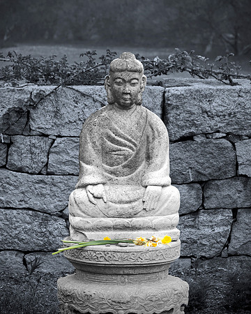 Peace Garden