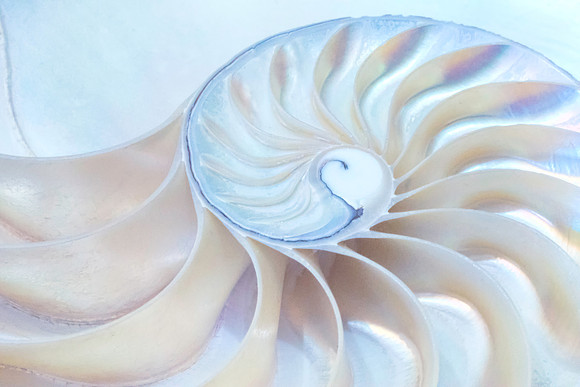 Nature's Art 2