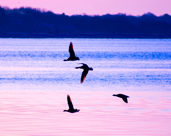 Passing By