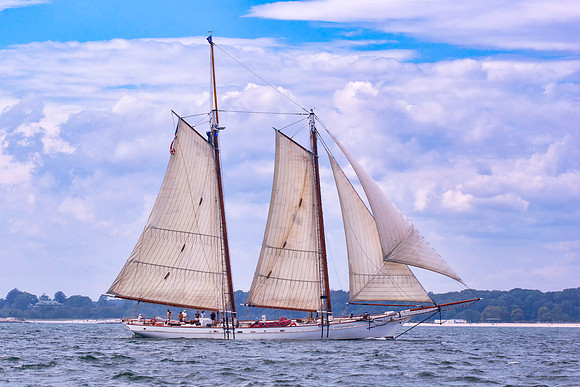 Welcome Spirit Of South Carolina