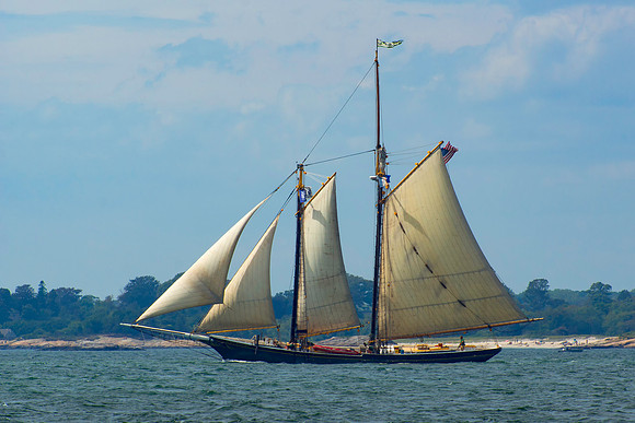 The Lettie G Howard