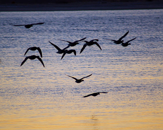 Toward Nightfall