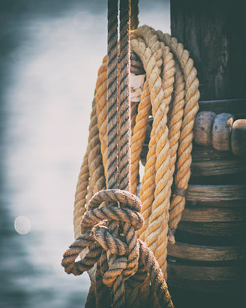 Roped Off