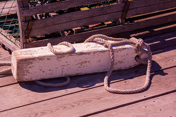 Seaside Still Life