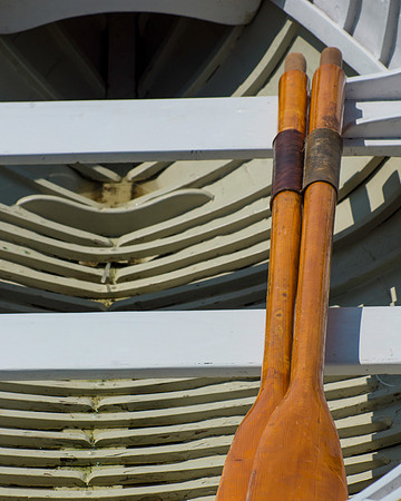 Dory Details