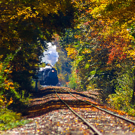 Autumn Passage