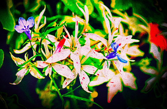 From The Garden