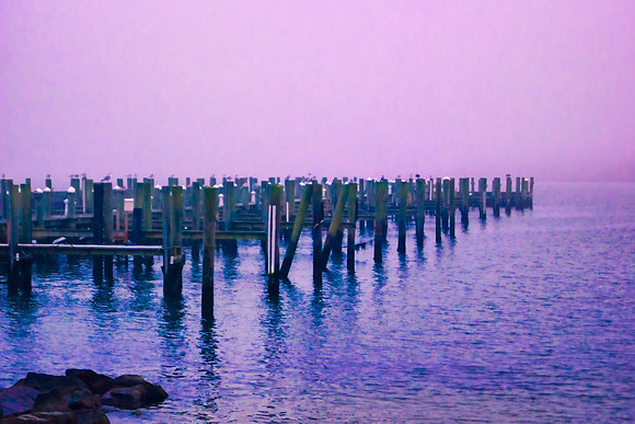 Empty Docks