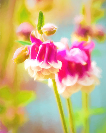 Meadow Flower