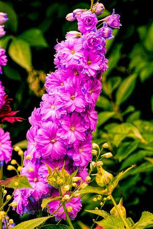 A Quick Walk (7 of 86)