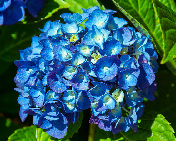 Something In Blue