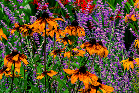 Full Of Flowers