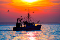 For The Fisherman