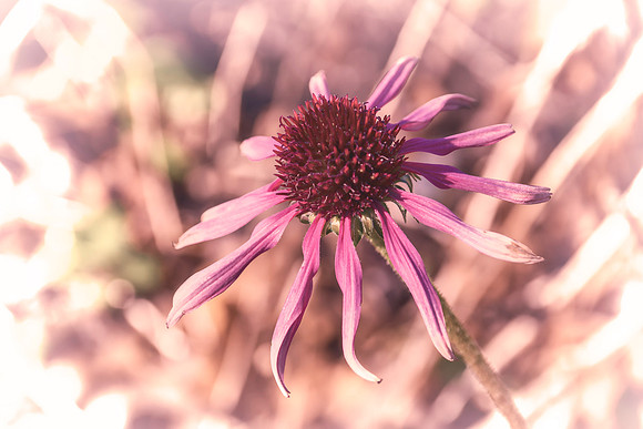 Fading