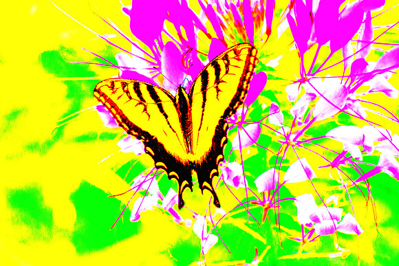 Yellow On Yellow