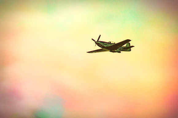 Flying High