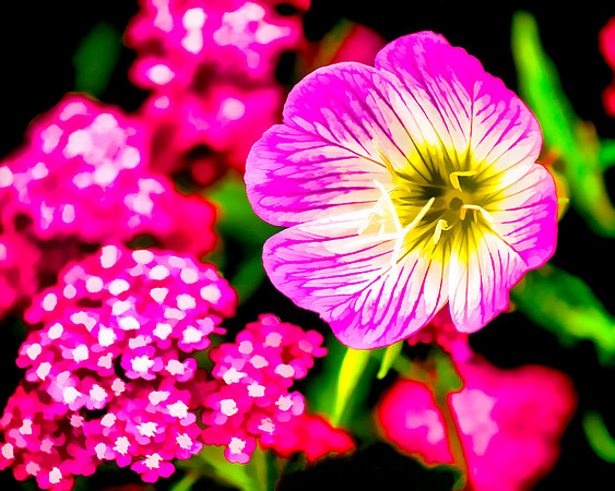 Bright Flowers