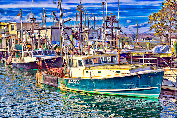 Waiting On Scallop Season