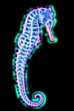 Electric Seahorse