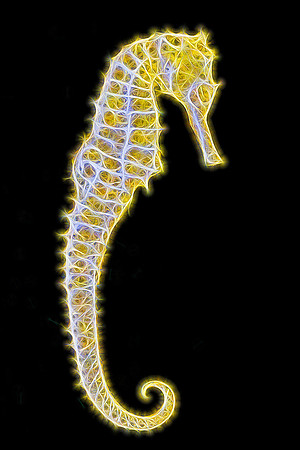Seahorse Alt 1