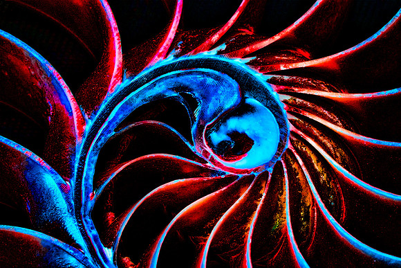 Freaky Nautilus